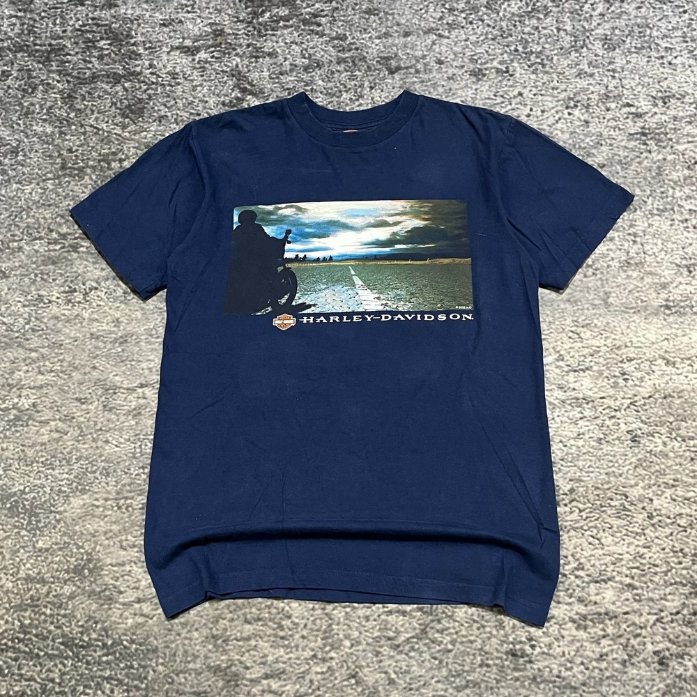 Vintage Harley Davidson T Shirt Mens Medium Blue Eagle Biker 2005